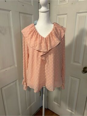 NWT LOFT Blush Pink Ruffle Swiss Dot Blouse
